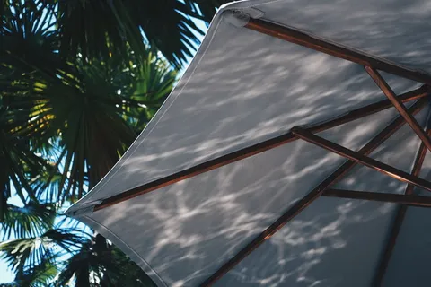 印度尼西亚，周日海滩俱乐部，湖泊，游泳池，度假，森林，阳光