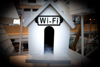 wi-fi，鸟，房子，标志，门，小，建筑，文本
