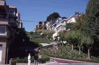 旧金山、美国、加利福尼亚、伦巴第、建筑、树木、建筑外观、植物