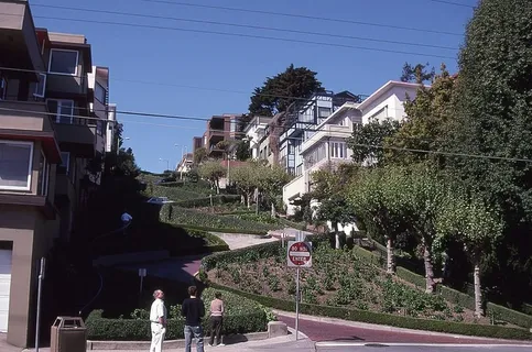 旧金山、美国、加利福尼亚、伦巴第、建筑、树木、建筑外观、植物 旧金山、美国、加利福尼亚、伦巴第、建筑、树木、建筑外观、植物