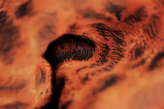 抽象、灯光、背景、纹理、图案、宏观、细节、美丽