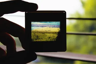 照片、场、自然、图片、摄影、人手、技术、无线技术