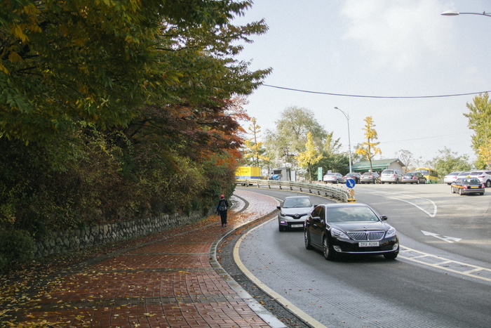 汽车，道路，交通，车辆，沥青，汽车，汽车，驾驶