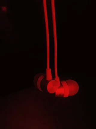 阿尔及利亚，hassi bahbah，红色，浅色，kitmen，耳机，秃鹰，黑色背景