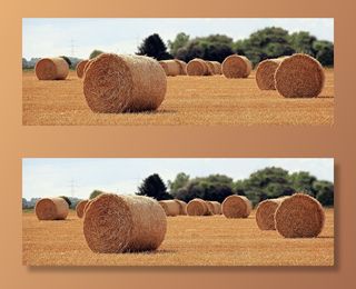 干草场，白天，秸秆作用，收获，秸秆，农业，圆捆，田地