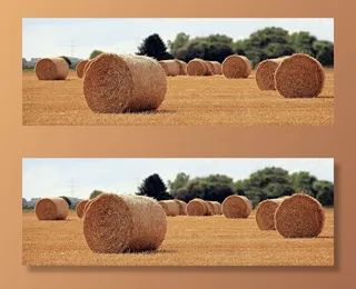 干草场，白天，秸秆作用，收获，秸秆，农业，圆捆，田地