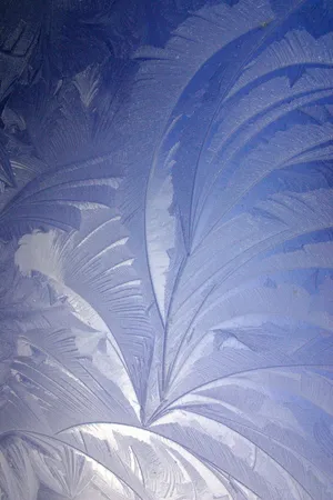 冰花，冬天，圣诞节，冰镇，冬天，背景，图案，抽象
