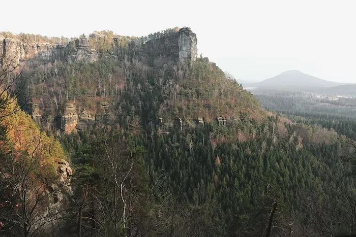 捷克瑞士山区的春天森林