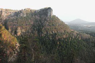 捷克瑞士山区的春天森林