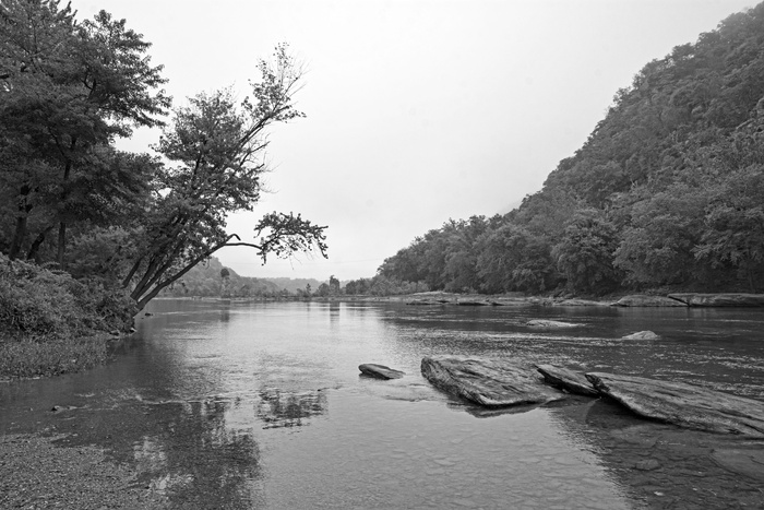 河流，公园，西弗吉尼亚，风景，春天，树木，水，自然