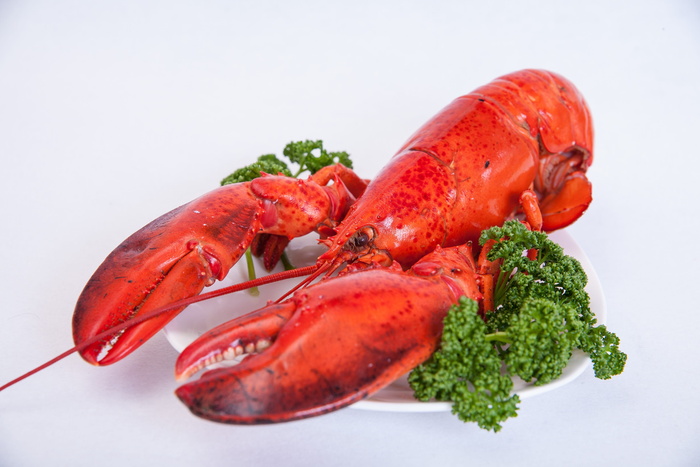 龙虾、陶瓷、盘子、虾、食物、纱布、外出就餐、红色