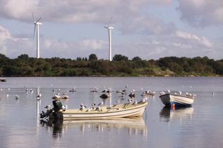 两者，系泊，海湾，海洋，风力涡轮机，海岸线，镜像，båd电机