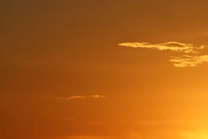 自然，户外，阳光，天空，耀斑，光，太阳，黎明