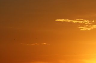 自然，户外，阳光，天空，耀斑，光，太阳，黎明