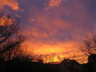日落，晚霞，天空，浪漫，云天，树，光秃秃的树，剪影