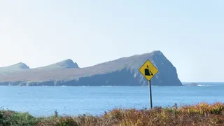 海滩旁的黄色街道标志