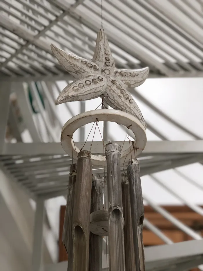 明星, 追梦人, 装饰, 低角度视图, 没有人, 专注于前景, 木材-材料, 建筑