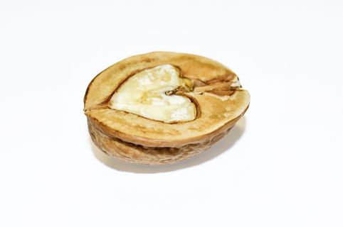 坚果,核桃,坚果,果盘,棕色,食物,贝壳,封闭 坚果,核桃,坚果,果盘,棕色,食物,贝壳,封闭