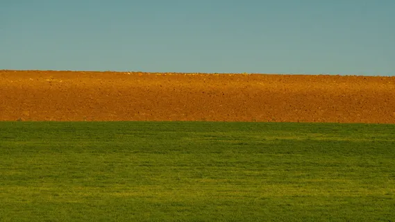 铺设、犁耕、田地、农业、播种、景观、草、绿色