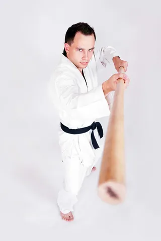战斗机, 健康, 爱好, 空手道, 功夫, 权, 生活方式, 人