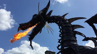 户外、龙、迪士尼、华特迪士尼世界、奇幻节、游行、火、天空