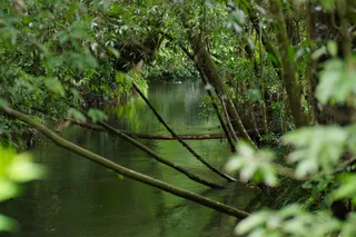 日本，高奈泽，水道，水道，农业，灌溉，水，流量