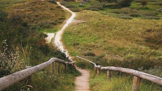 白天棕色木栏杆和绿色草地之间的棕色小径
