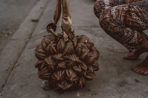 nypa，越南，女性，市场，卖家，亚洲，水果，坚果