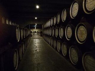 酒桶，房子，威士忌，酒桶，木头，酒窖，酒窖，葡萄酒