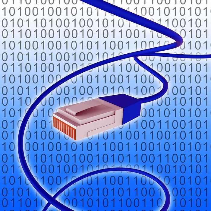 数字网络代表万维网和互联网络