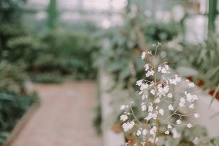 twolittlebox，militaru，eduard，eduard militaru，桌面，壁纸，浅色，绿色