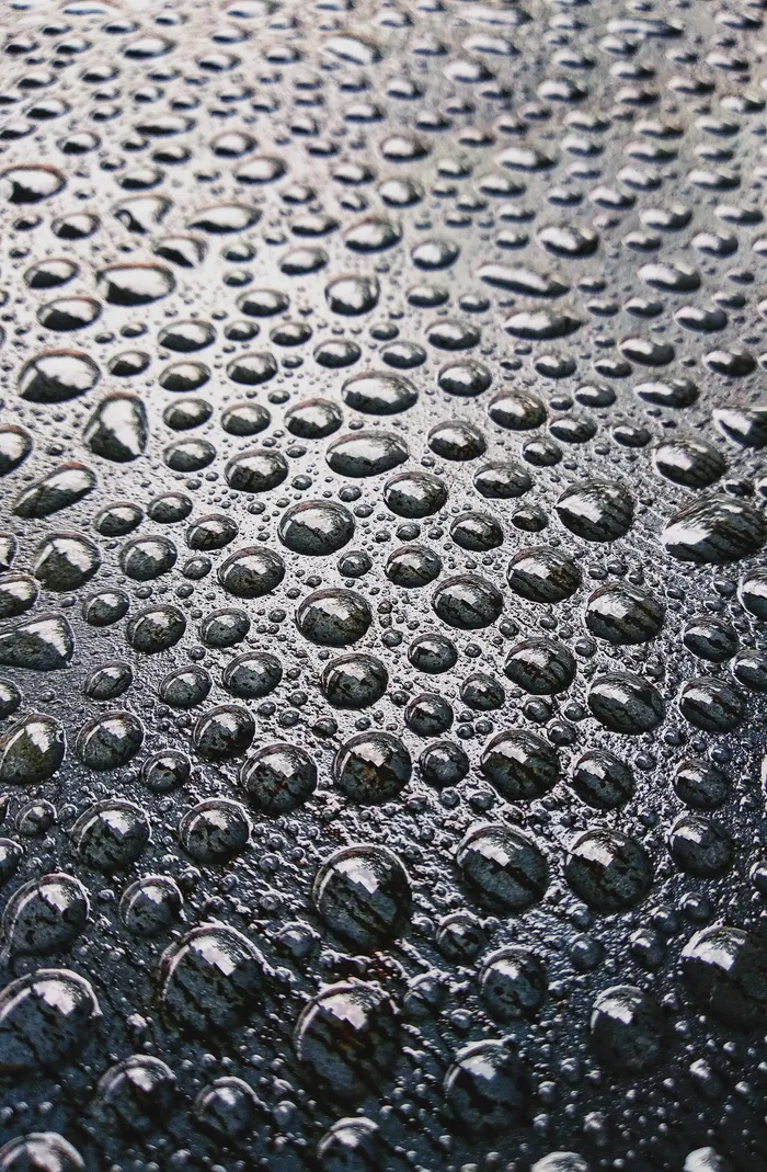 水露珠