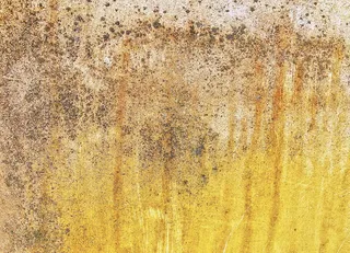 墙、结构、石膏、纹理、背景、垃圾、年份、混凝土