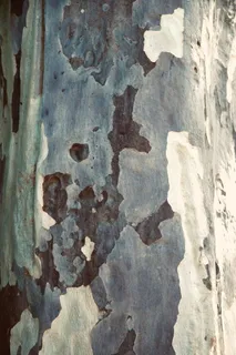 锈,艺术,绘画,树抽象,板岩,钢铁,现代艺术,纹理 锈,艺术,绘画,树抽象,板岩,钢铁,现代艺术,纹理