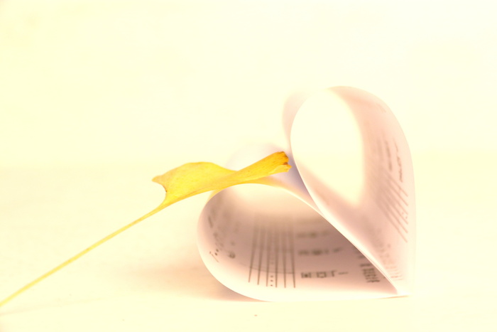 指法, 银杏, 摄影, 影棚拍摄, 厨房用具, 纸, 餐饮器具, 没有人