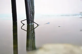 水，氧化物，对称，生锈，老，没有人，天，自然