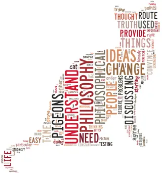 理解、哲学、猫、符号、白色背景、文本、沟通、无人