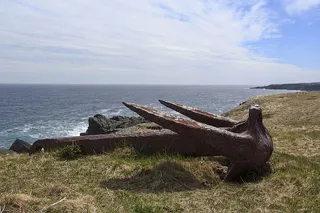 在加拿大纽芬兰和拉布拉多的开普赛马会上有一个生锈的老锚
