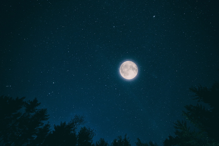 蠕虫，视线，满月，月亮，夜晚，天空，月份，黑暗