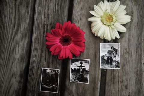 首先，1944年8月，华沙起义，历史，华沙周年纪念，旧照片