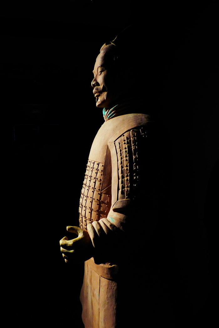 侧面图, 兵马俑, 展览, 士兵, 泥人, 中国, 兵马俑, 一个人