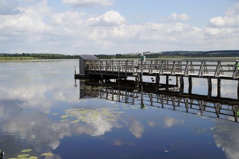 景观, 春湖, 自然保护区, 自然, 荒野, 湿地, 夏季, 草