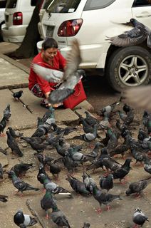 缅甸仰光，马哈班杜拉路，多姆，同理心，爱，红色，缅甸