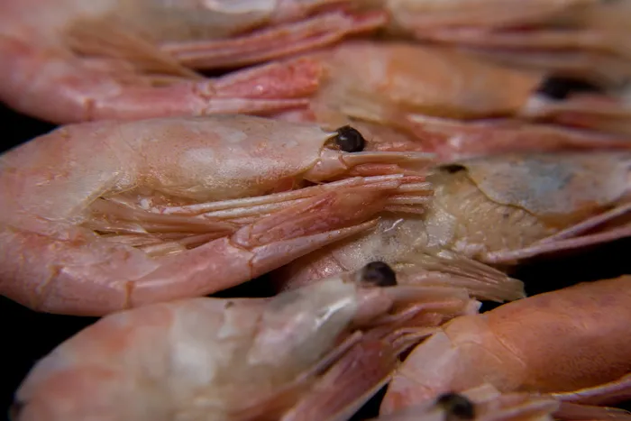 鱼类、海鲜、市场、食品、伊壁鸠鲁、克鲁普尼吉计划、无人、背景