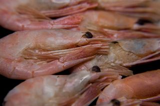 鱼类、海鲜、市场、食品、伊壁鸠鲁、克鲁普尼吉计划、无人、背景