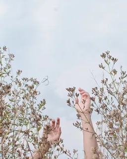 向天空举起手臂