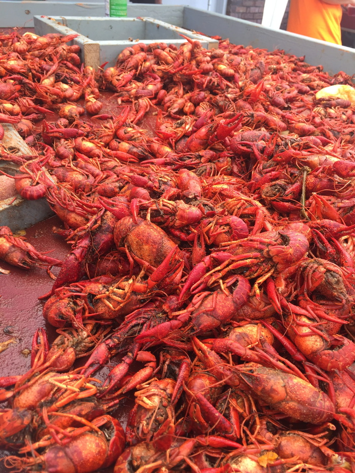 小龙虾煮沸，甲壳类动物，小龙虾，传统，南方，食品，海鲜，新鲜度