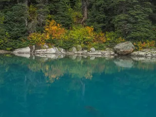 湖靠近森林，水，自然，户外，加里波第湖，惠斯勒，不列颠哥伦比亚省，加拿大，池塘