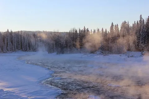 寒冷,冷杉树,雾,森林,雪,冰冻的湖,风景,雾 寒冷,冷杉树,雾,森林,雪,冰冻的湖,风景,雾