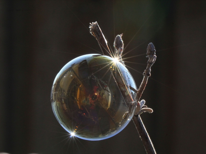 肥皂泡、光、反射、微光、特写、无人、室内、自然